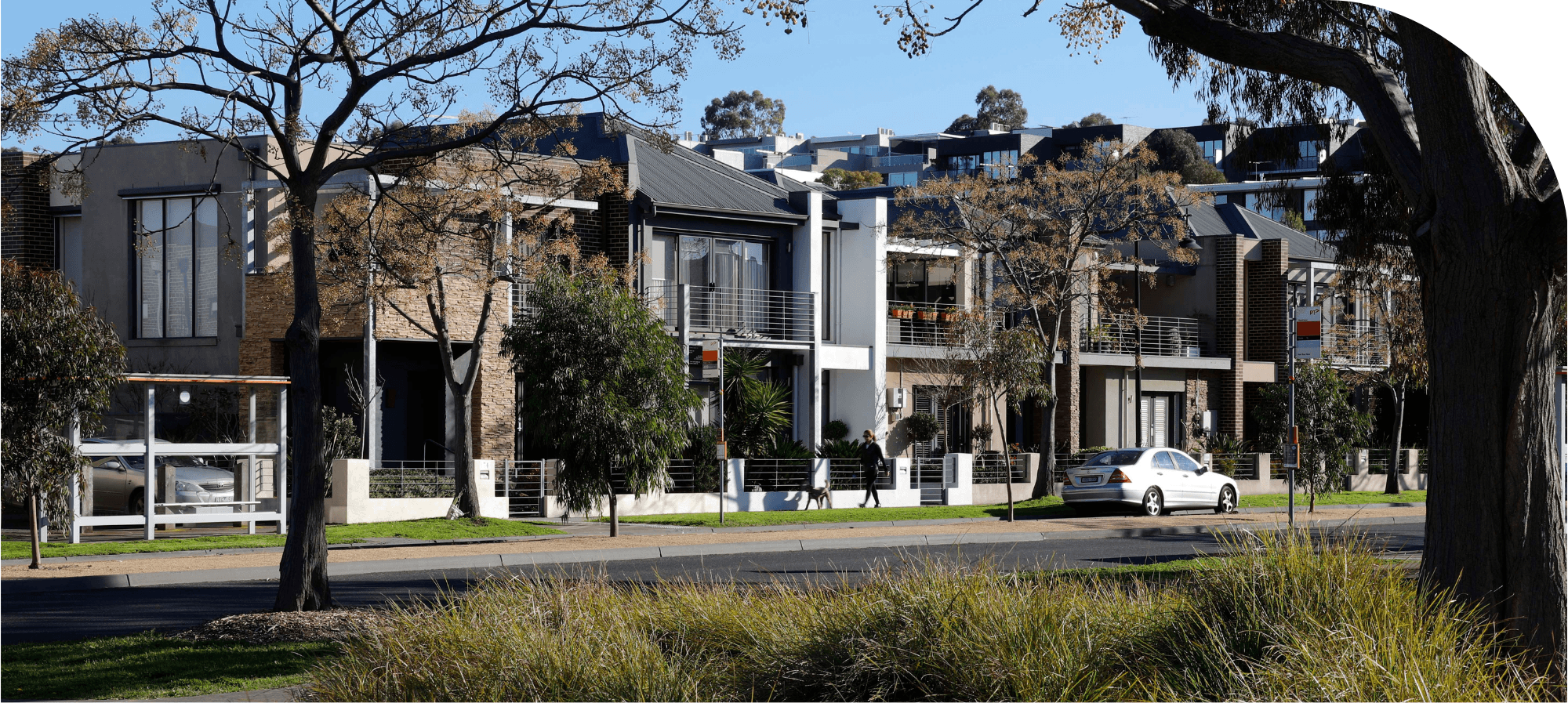 Website Image Frames Curve 5